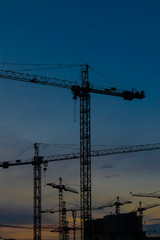 Construction cranes on sunset