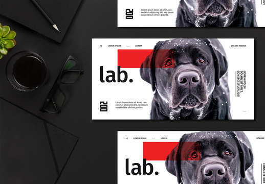 Flyer Layout with Dog Image