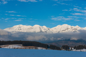 The plateau of Cansiglio