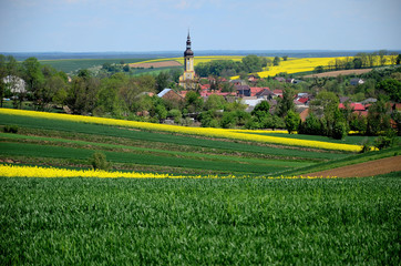 Letni krajobraz - Śląsk, Polska