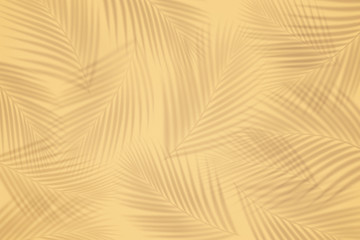 Selective focus of summer and holiday backgrounds concepts with shadow of coconut leaf on clean sand beach