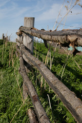 Old rustic wooden fence in the Siberian village, stretching into the distance.