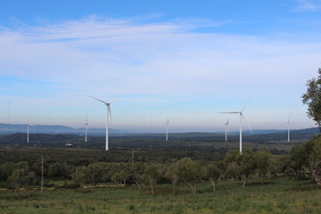 Fototapeta na wymiar Wind farm Fascinas, Andalusia, Spain