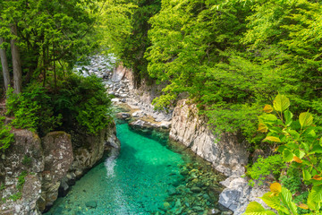 Fototapeta premium 阿寺渓谷 犬帰りの淵