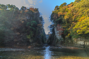 秋の養老渓谷の弘文洞跡の風景