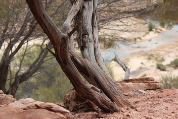 Hiking at Kalbarri National Park, Western Australia, desert, outback, down under, scenery, oz
