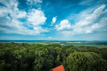 Peaceful blue cloudy sky and forrest. Blue sky and trees. Clear blue sky with white Clouds Exhale wallpaper background and background