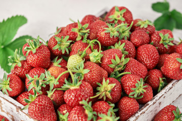 Strawberries in a box on the white concrete background