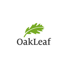 simple oak leave vector logo design