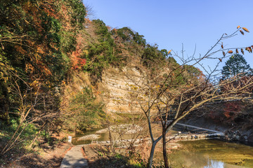 秋の養老渓谷の中瀬遊歩道の風景