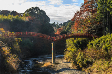  	秋の養老渓谷にかかる観音橋の風景