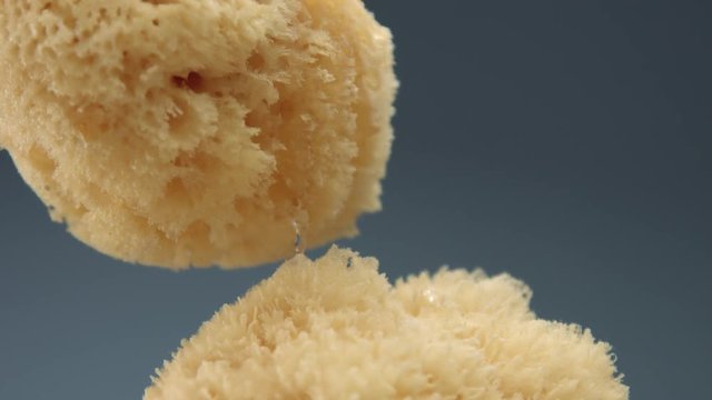 two natural bath sponges and water pouring on. slow motion from 60 fps
