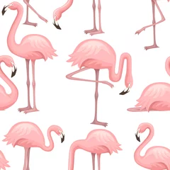 Afwasbaar Fotobehang Flamingo Naadloze patroon van schattige cartoon perzik roze flamingo. Grappige flamingo-collectie. Cartoon dier Characterdesign. Platte vectorillustratie op witte achtergrond