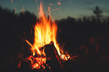 Picnic in the mountains. Travels and fires. Atmosphere of comfort. Tourism in the Carpathian Mountains