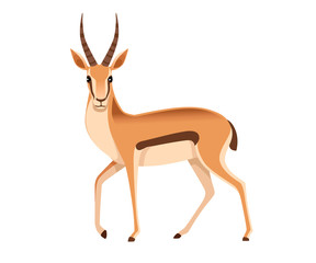 African wild black-tailed gazelle with long horns cartoon animal design flat vector illustration on white background side view antelope - obrazy, fototapety, plakaty