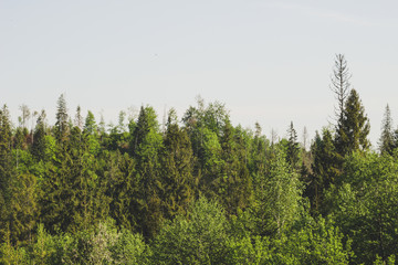 .Carpathian Mountains from the window of the car. Offroad travel in Ukraine