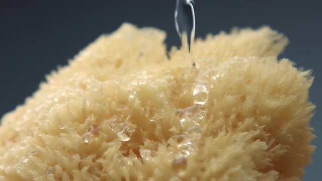 macro natural bath sponge texture and water pouring on it.