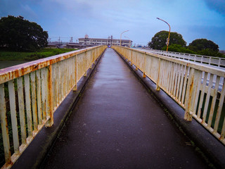 Fototapeta premium 橋