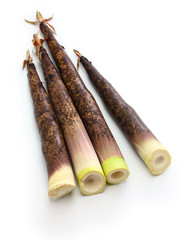 Japanese Madake Bamboo Shoots isolated on white background