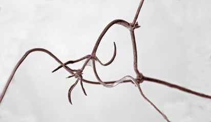 Sometimes the little things are the most beautiful.