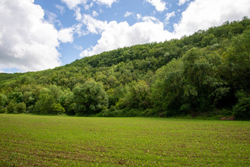 Champ dans la campagne périgourdine