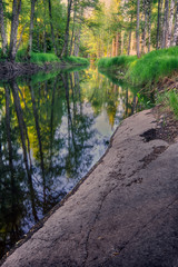 a river in the forest with a cliff to the right and forest around