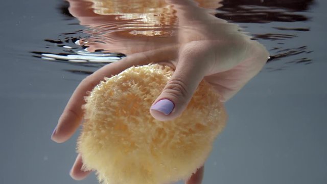 woman hand immerse into water with a natural bath sponge to smudge it underwater