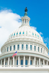 Fototapeta premium United States Capitol. Building in Washington, D.C. USA