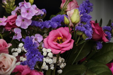 Frühling Blumen