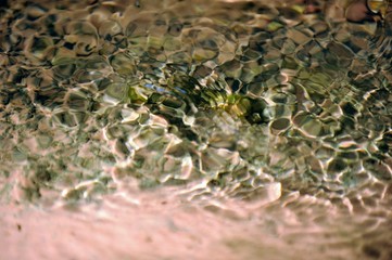 Sonnenreflexion im Bach