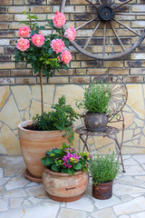 beautiful place in the garden in the mediterranean style