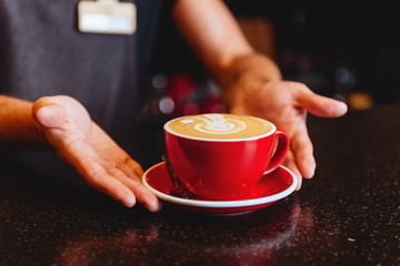 Female hands hold a aromatic beverage, drinks cappuccino or coffee cup
