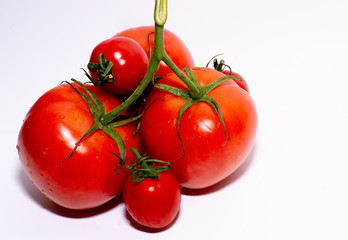 tomatoes isolated on white background