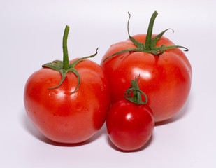 tomatoes isolated on white background