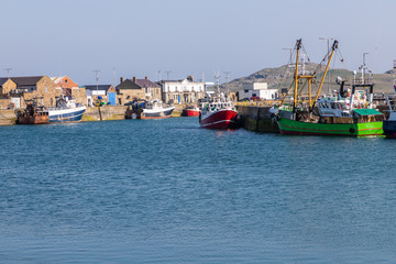 Boats and Fish market in Howth Pier