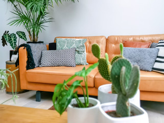 Light modern living room with brown leather couch and numerous green houseplants creating an urban...