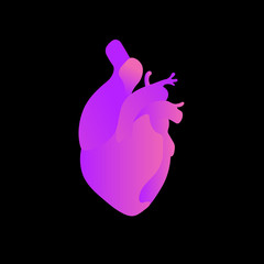 Anatomical heart. bright neon gradient on a dark background