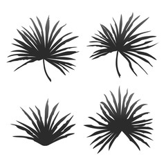 Fototapeta premium Set of tropical palm leaves isolated on white background. Vector illustration.