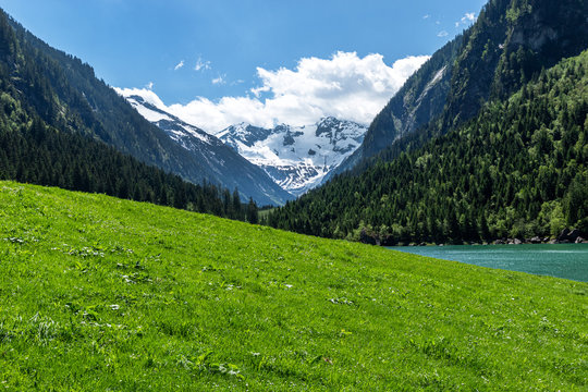 Panoramic view of idyllic mountain scenery in the Alps with fresh green meadow and snowy covered mountain peaks, Zillertal Alps Nature Park, Austria, Tyrol, Stilluptal Lake