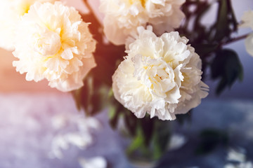 Bunch of amazing peonies in the vase on white wall background
