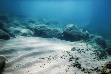 Sea Life Underwater Rocks Sunlight, Underwater Life