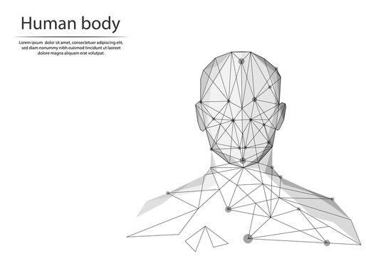 Abstract image human body in the form of lines and dots, consisting of triangles and geometric shapes. Low poly vector background.