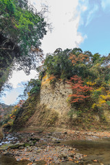 Fototapeta na wymiar 秋の養老渓谷の弘文洞跡の風景