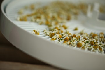 chamomile flowers medical dry billet