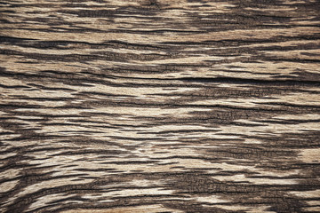 Striped texture of an old wooden surface, sepia.