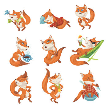 Set of cute colorful fox character in different actions