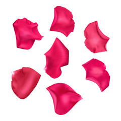 Naklejka premium Set of pink rose petals , close-up on a white background can be used for design of romantic greetings. Vector Eps10 illustration