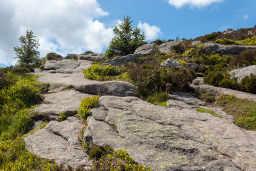 Landscape of the side of Bennachie, Scotland