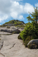 Landscape of the side of Bennachie, Scotland