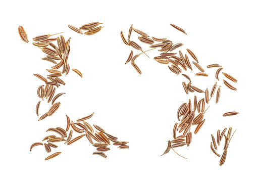 Dried cumin seeds isolated on white background. Top view.